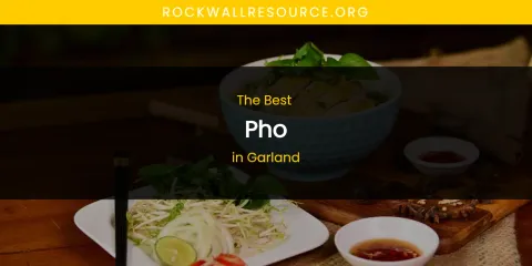 The Absolute Best Pho in Garland