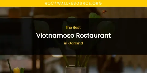The Absolute Best Vietnamese Restaurant in Garland
